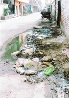 This is what residents around labour quarters in Mohindra Colony in Sherpur have to live with