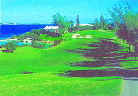 The lush surroundings are soothing for holidaymakers.