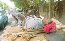 With no respite from the heat, a cart driver rests under a shady tree in Ludhiana