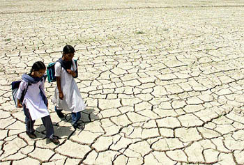 Students walk through a dry paddy field in Raipur village on Saturday