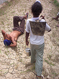 A farmer surveys his field in a village in the Rajpura subdivision