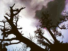Darkness at noon in Patiala on Thursday