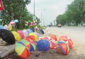 An umbrella seller lines up his umbrellas along the G.T. Road