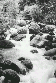 Monsoon cataract in Laitkynsew