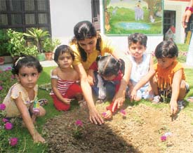 Tiny tots of Sunshine Pre-Nursery School in the city plant saplings in the school premises