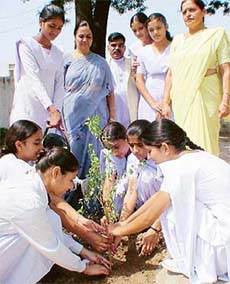 Students plant a sapling at Government High School, Sector 32-D, Chandigarh