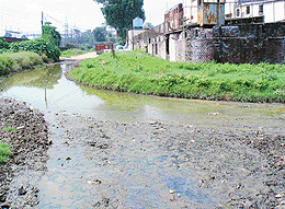 Insanitary conditions in a part of the Industrial Area, Phase I, Chandigarh, have made industrialists lives difficult. 