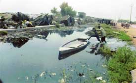 A view of the rainwater that has collected in front of the Dairy Complex in Ludhiana