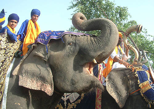 Nihang Singhs take out a religious procession from Burj Baba Phoola Singh to the Golden Temple as part of quadricentennial celebrations on September 2 in Amritsar.