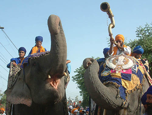 Nihang Singhs take out a religious procession from Burj Baba Phoola Singh to the Golden Temple as part of quadricentennial celebrations on September 2 in Amritsar.