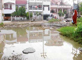 Rain water collects in low lying areas of the colony and becomes the breeding ground for mosquitoes