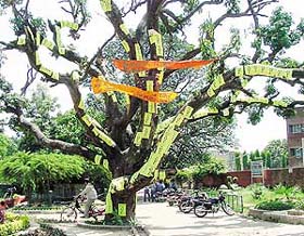 Photo by Parvesh Chauhan