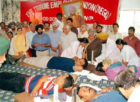 A view of the blood donation camp organised by The Tribune Employees Union at The Tribune office in Chandigarh
