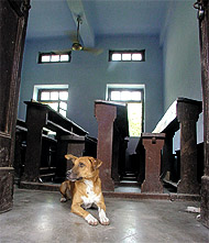 Most classrooms in DU colleges were deserted on Thursday in response to the bandh call given by the DUTA