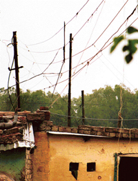 While Chandigarh faces a severe power shortage, blatant stealing of electricity goes on in Sector 25, as seen in these 'kundi' connections on Thursday. 