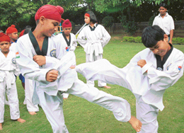 Students of Shemrock Senior Secondary School, Mohali, demonstrate their skills in taekwondo at a sports meet on Thursday.