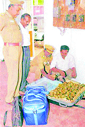 A consignment of seized star turtles