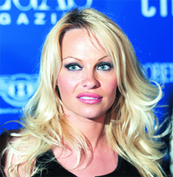 Actress Pamela Anderson, always game to ruffle a few feathers in the name of mistreated fowl, has lent her famous face to a billboard campaign calling for a boycott of the KFC chain of chicken restaraunts. The billboards, which were created by People for Ethical treatment of Animals, feature a photo of the television star next to the words: Boycott KFC Pamela Anderson. 