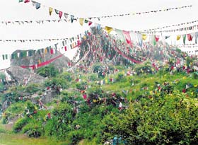 Tibetan flags can be seen everywhere at Sar ki Dhar demarcated forest area, 24 km from Mandi