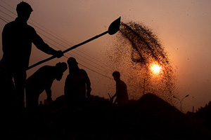 Free power may be confined to small farmers only.
