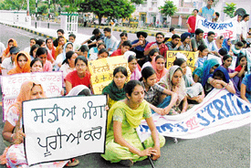 Veterinary students stage a protest in front of the PAU in Ludhiana 