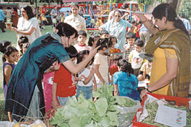 Children and teachers of Kangaroo Kids school on their day out in a farm in the Capital on Thursday.