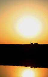 A Romanian villager rides in his horse-driven cart at sunrise