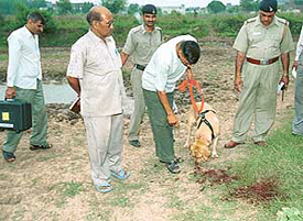 A dog squad and forensic experts look for clues at Raipur Kalan village where an unidentified body of a man was found on Wednesday.