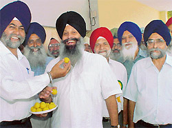 Ladoos being distributed to hail the Supreme Court verdict exempting Sikh women from wearing helmet, at Mohali on Friday. 