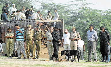 NSG commandos with a sniffer dog inspecting scrap ammunition shells at Tughlakabad in the Capital on Thursday.
