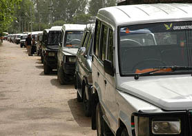 Vehicles hired by the Congress to ferry supporters and voters to booths on the polling day in Kapurthala on Tuesday.