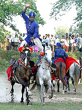 A Nihang youth stands on two horses in Ambala