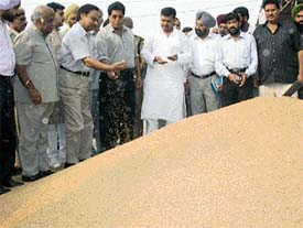 Dr Akhilesh Partap Singh, Union Minister of State for Agriculture, Food and Public Distribution, reviews paddy procurement at Salem Tabri mandi in Ludhiana