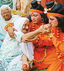 An inmate of Old Age Home, Sector 15, Chandigarh, offers 'bers' to Lord Rama and Lakshmana on Wednesday