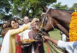 Actress Juhi Chawla applying "tilak" to a horse on the occasion of Dashera