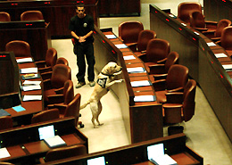 A sniffer dog searches for explosives near the table of Prime Minister Ariel Sharon at the Israeli Parliament building in Jerusalem on Monday