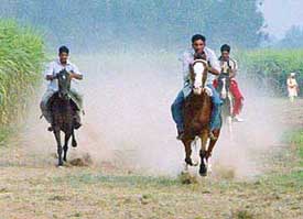 A horse race in progress during the Markanda Fair at Mullan on Wednesday. 