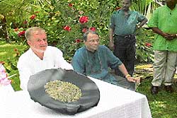 Malinga Gunaratne and David Kilburn displaying white tea on the Handunugoda tea estate in Tittagalla