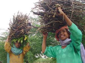 Hardworking people are the states real asset