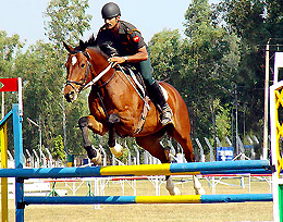 One of Indias top riders, Major Deep Ahlawat of the Remount and Veterinary Corps, in action during the preliminaries of the Chandigarh Horse Show, which began in the city on Wednesday