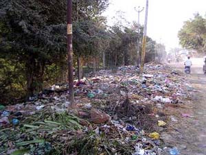 A view of the garbage strewn on the Zira road in Moga.
