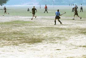 A view of the ground of the Panjab University, Chandigarh, which has not been watered for a year