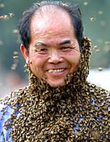 Chinese bee farmer Yang Chuanquan stands as bees cover his body, in Nanning, southern China, on Friday