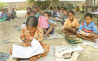 A view of Government Primary School, near Moga, where classes are being held under a tree.