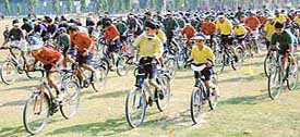 PEDDLING JOY