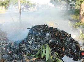 Waste being burnt by MC officials in Sector 16, Panchkula, on Saturday in violation of the apex court’s orders