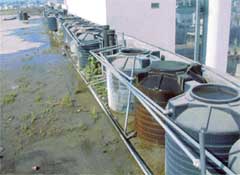 Open water tanks on the roof of the complex overflow regularly causing seepage and damage to the structure