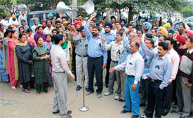 Employees of the State Bank of Patiala hold a protest in front of the bank's regional office at Miller Ganj in Ludhiana on Wednesday