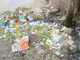 A heap of garbage in a market of Mandi Ahmedgarh
