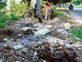 A garbage dump in one of Chandigarhs southern sectors